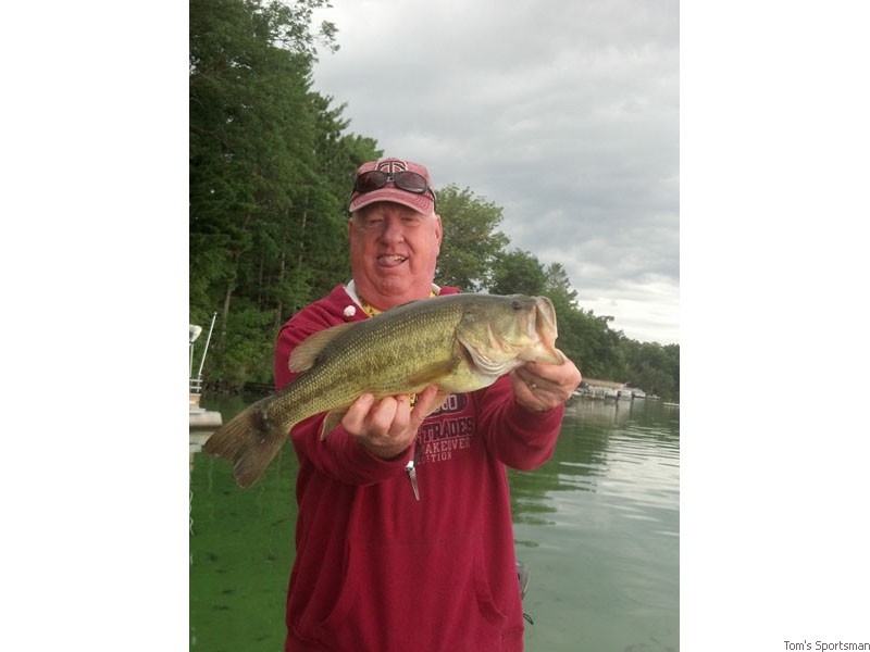 19&frac12; August 2012 Balsam Lake Wis. Caught on a Green Lizard. Lipped by son Jason. Fish was released.