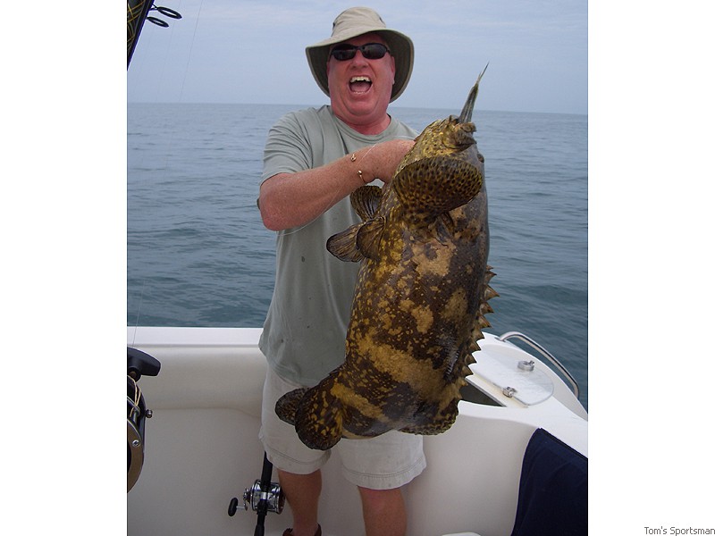 Huge Grouper