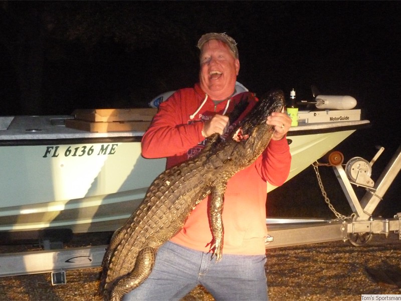 Florida gator taken with permit