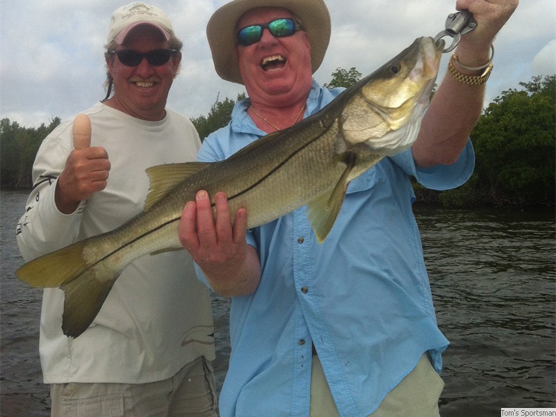Tom&rsquo;s Snook