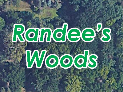 Randee’s Woods Shoreview