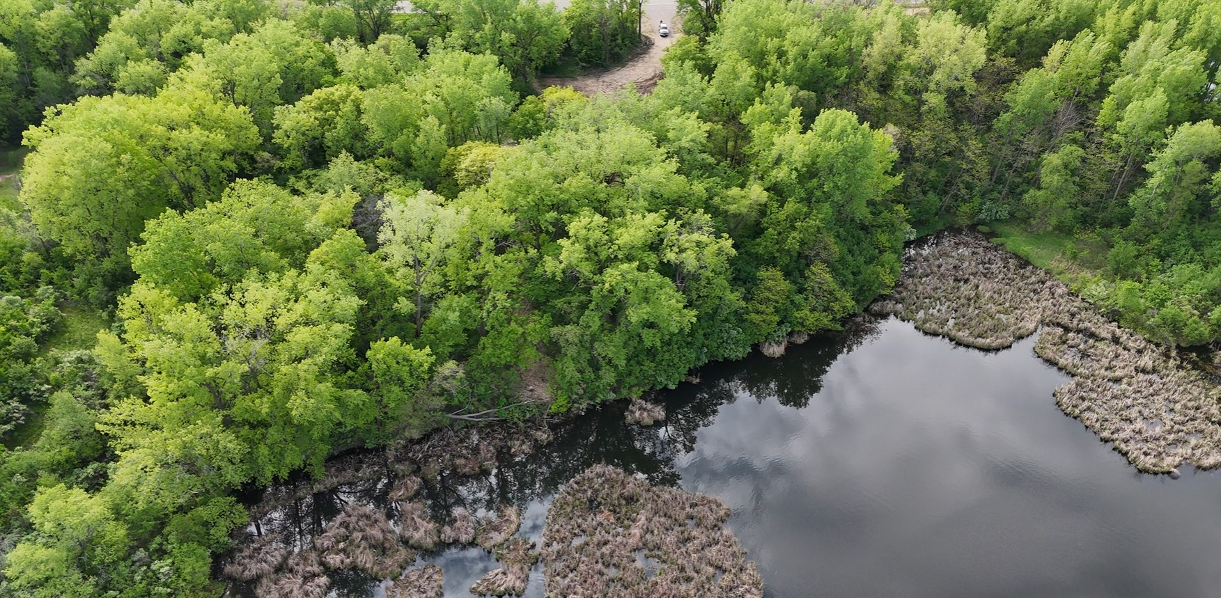 Lake Amelia Lot 4 Drone View