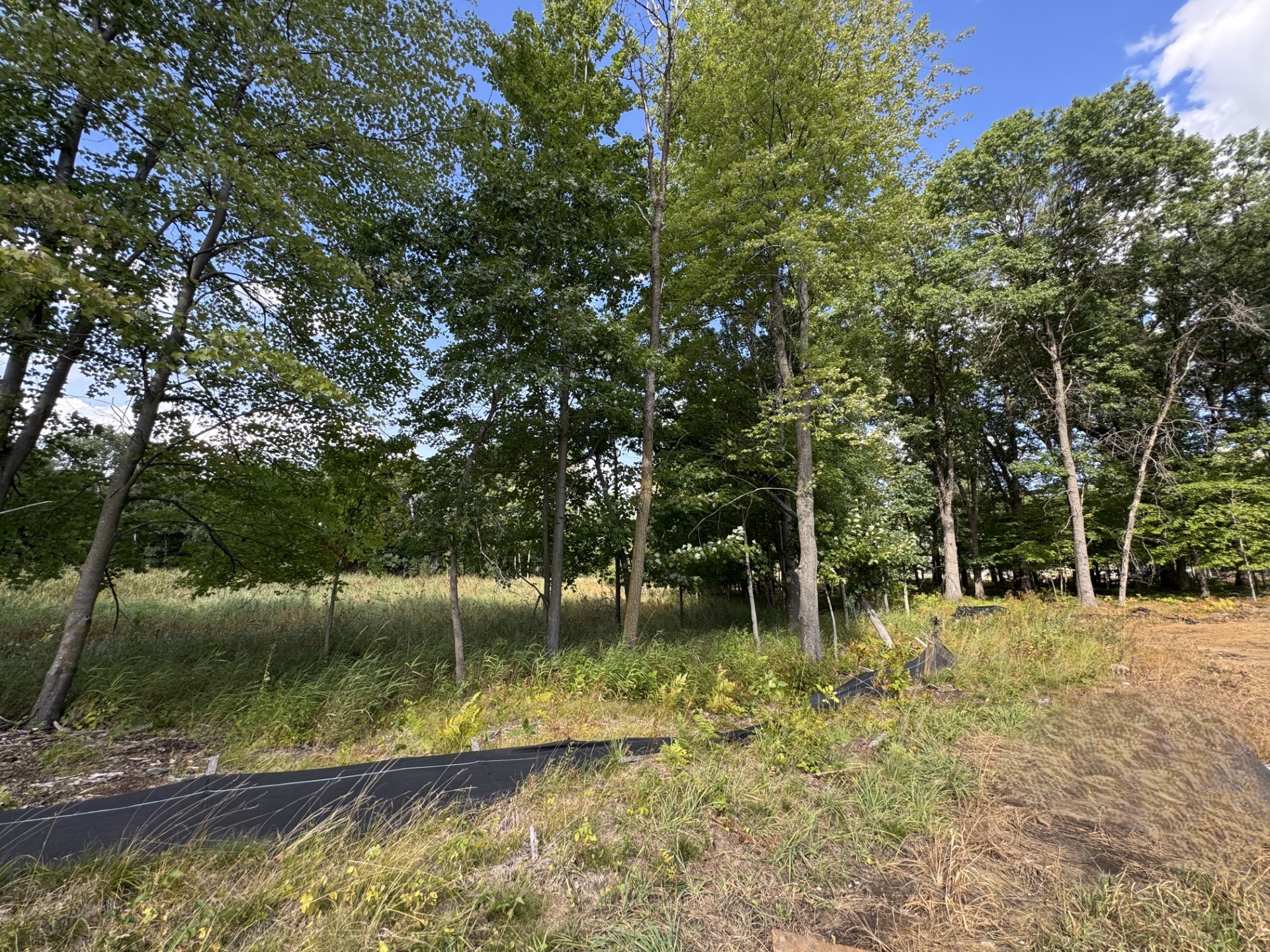 The Madison A Refined Woodland Retreat Back Yard