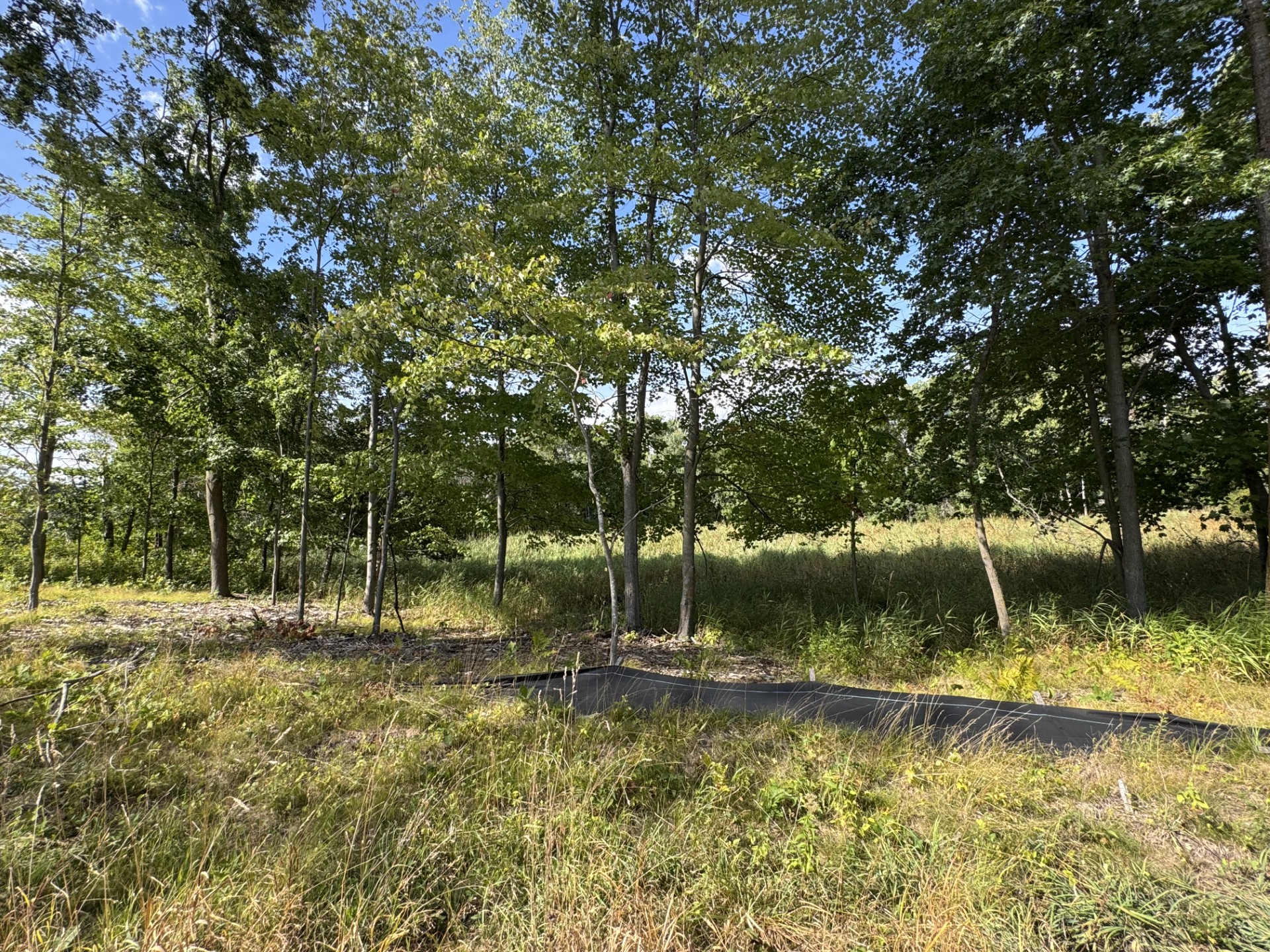 The Madison A Refined Woodland Retreat Back Yard